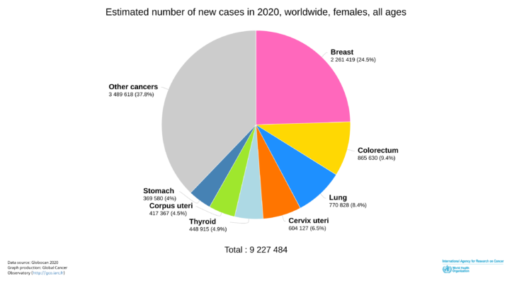 womens cancer 2020