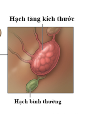 Screenshot 2026 04 03 at 12.59.23