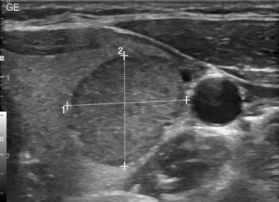 Screenshot 2026 03 15 at 05.37.59